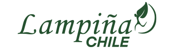 Lampiña Store